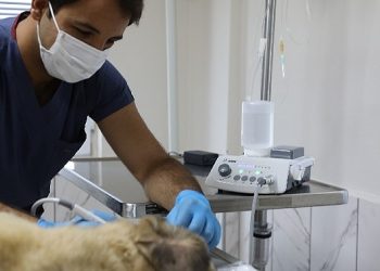 Muğla Büyükşehir’den Candostların Sıhhat Kalitesini Arttıran Hizmet