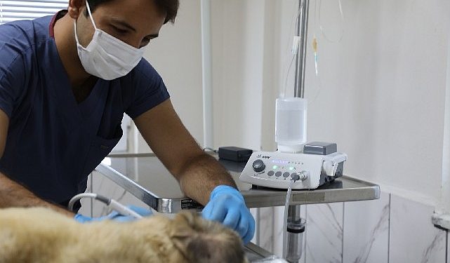 Muğla Büyükşehir’den Candostların Sıhhat Kalitesini Arttıran Hizmet