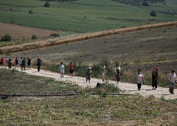 Nilüfer’deki tarım uygulamaları hayranlık uyandırdı