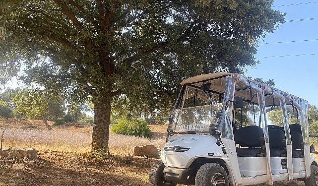 Olivelo Yaşayan Park’ta safari tipleri yarın başlıyor