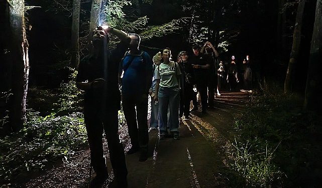 Ormanya’da macera dolu gece yürüyüşü