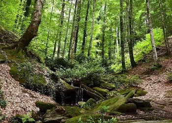 Suuçtu Şelalesi ziyaretçi akınına uğradı