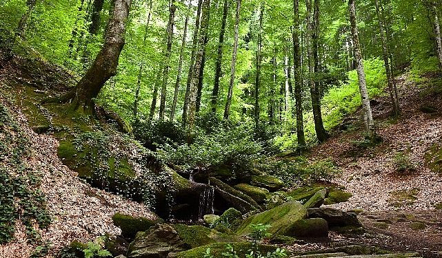 Suuçtu Şelalesi ziyaretçi akınına uğradı