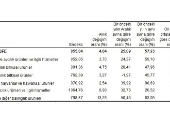 Tarım eserleri üretici fiyat endeksi (Tarım-ÜFE) yıllık yüzde 57,93, aylık yüzde 4,04 arttı