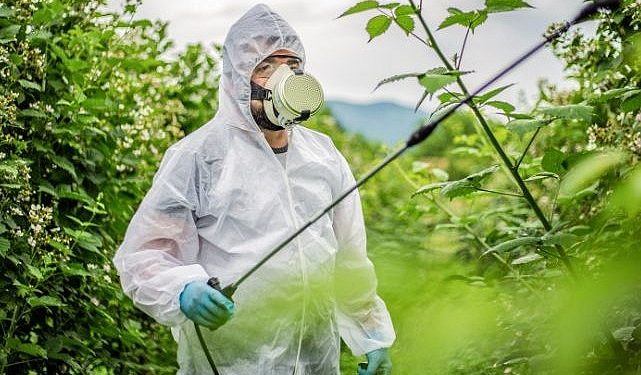 Tarım Zehirlerinde Alarm: Yasaklı Hususların Kullanımı Devam Ediyor