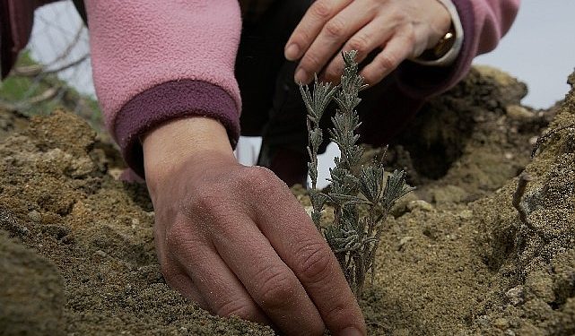 TOÇEV, Payam Ekolojik Badem Köyü Projesi’ne takviye bekliyor