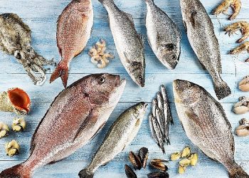 Türkiye’nin 6 aylık su eserleri ihracatı 829 milyon dolara ulaştı