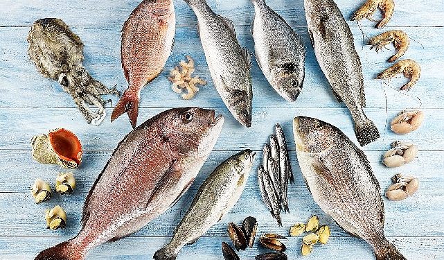 Türkiye’nin 6 aylık su eserleri ihracatı 829 milyon dolara ulaştı