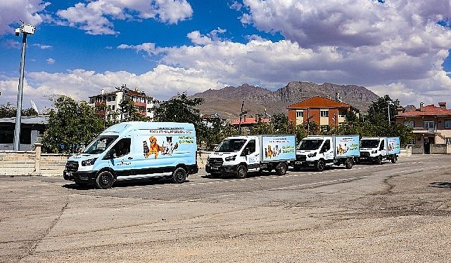 Van sahipsiz hayvanlar bilrliği sokak hayvanlarına hayat veriyor