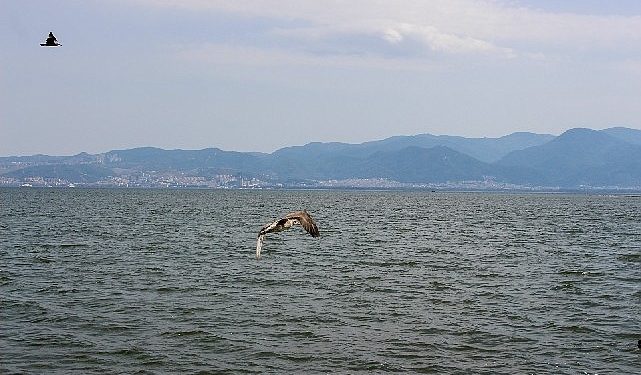 Yorgun martılar Karşıyaka’da emin ellerde!