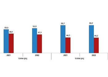 Yurt dışından Türkiye’ye 494 bin 52 kişi göç etti