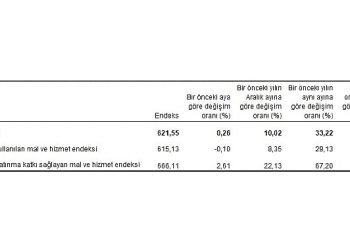 Ziraî girdi fiyat endeksi (Tarım-GFE) yıllık yüzde 33,22, aylık yüzde 0,26 arttı