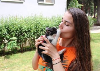 Zübeyde Hanım Parkı’nın kedileri yeni meskenlerine kavuştu