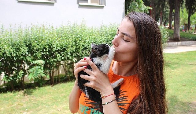 Zübeyde Hanım Parkı’nın kedileri yeni meskenlerine kavuştu