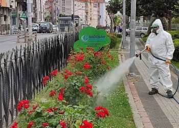 Bağcılar Belediyesi Bitlerle Uğraşını Sürdürüyor