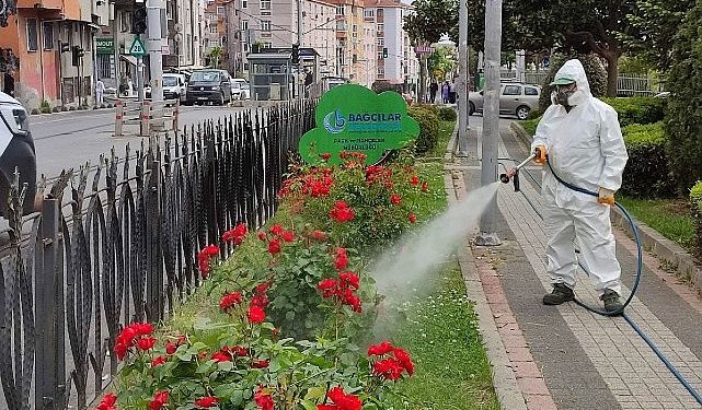 Bağcılar Belediyesi Bitlerle Uğraşını Sürdürüyor