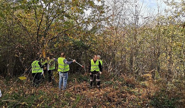 Borusan EnBW Güç’ten Bandırma Karadağ Kestanesi’nin Geleceği Projesi