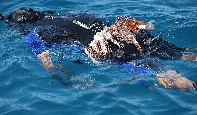 Büyükşehir Aslan Balığı Avlama Müsabakası Düzenledi