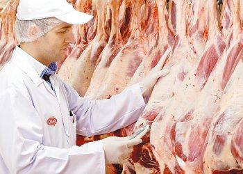 DANET’ten Sıcak Havalarda Et ve Et Eserleri için Saklama ve Pişirme Teklifleri