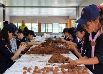 Depremzede izci öğrencilerden 81 vilayetimize tohum topu ikramı