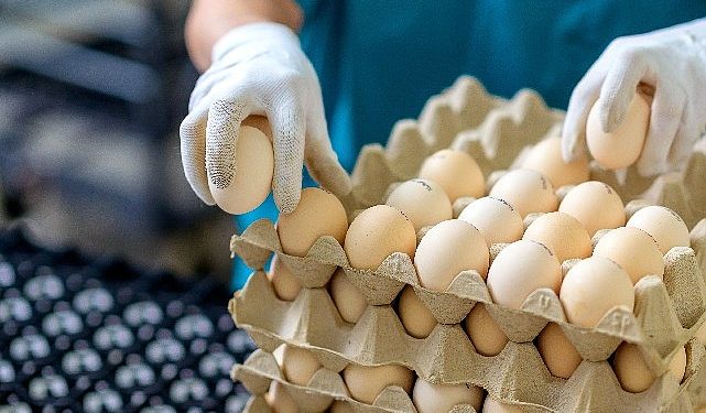 EİB’den Temmuz ayında 1 milyar 462 milyon dolarlık ihracat