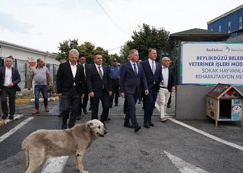 İstanbul Valisi Davut Gül Beylikdüzü’nde İncelemelerde Bulundu