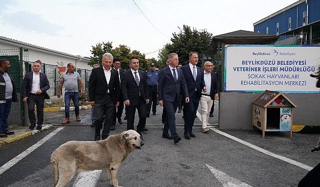 İstanbul Valisi Davut Gül Beylikdüzü’nde İncelemelerde Bulundu