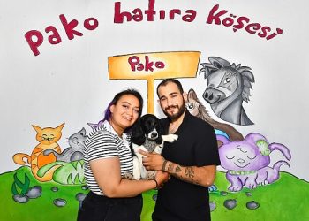 İzmirli gençler Hatay’dan gelen depremzede köpeği sahiplendi