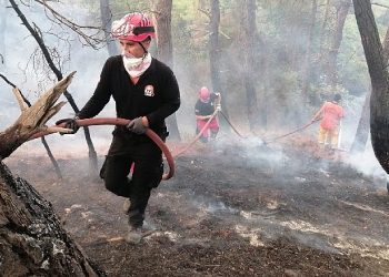 Kadıköy Belediyesi grupları Çanakkale’deki yangında soğutma çalışmalarına dayanak veriyor