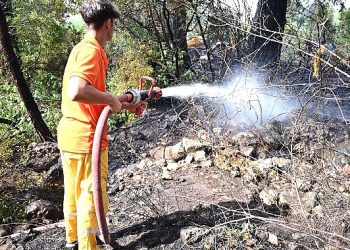 Kemer’de korkutan yangın büyümeden denetim altına alındı