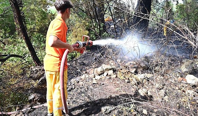 Kemer’de korkutan yangın büyümeden denetim altına alındı