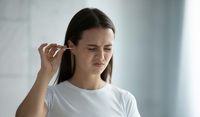 Kulak Mantarı Nemli Ortamı Seviyor!