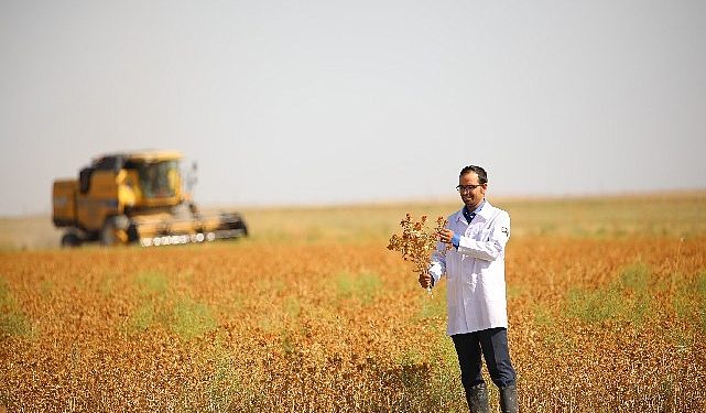 Lider Altay: “Susuz Tarım Modeliyle Ürettiğimiz Aspirin Hasadını Yaptık”