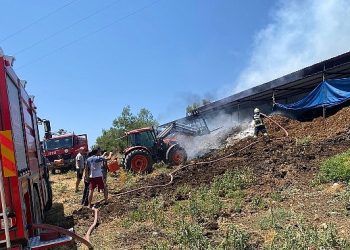 Muğla Büyükşehir Acil Müdahale Aracı ile Yangından Etkilenen Hayvanlara Müdahale