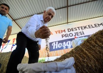 Muğla Büyükşehir Belediyesi Kaba Yem Dayanağı projesi ile piyasa kıymeti yaklaşık 3 Milyon TL olan kaba yemi üreticilere dağıtıyor