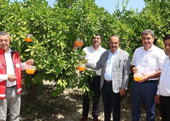 Narenciyede kalıntı sorunu kalmayacak