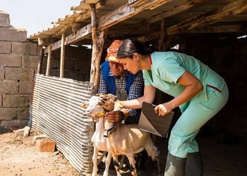 Öbür Bir Tarım Sertifikasyonu milletlerarası geçerlilik kazandı