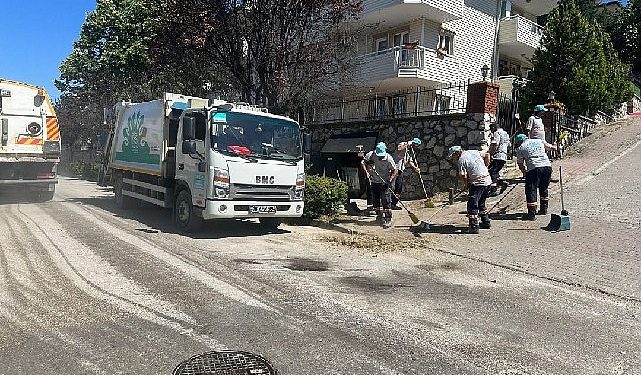 Pak etraf, tertemiz Nilüfer