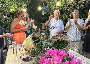 Pernod Ricard ve Bodrum Mandalin Hareketin’den Yeşil Bodrum Mandalini için İş Birliği