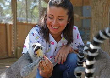 Sıcaktan bunalan sempatik dostlara buzlu meyve servisi