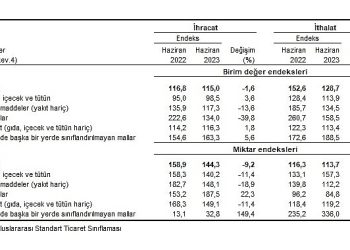 TÜİK: İhracat ünite paha endeksi %1,6 azaldı