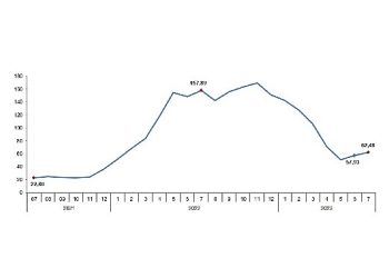 TÜİK: Tarım eserleri üretici fiyat endeksi (Tarım-ÜFE) yıllık %62,48, aylık %8,03 arttı