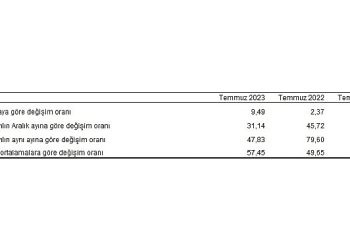 Tüketici fiyat endeksi (TÜFE) yıllık yüzde 47,83, aylık yüzde 9,49 oldu