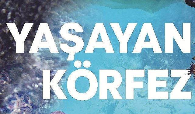 Yaşayan Körfez standı İzmirlilerle buluşuyor