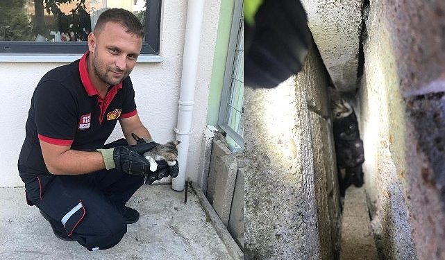 Yavru kedileri sıkıştıkları yerden itfaiye kurtardı