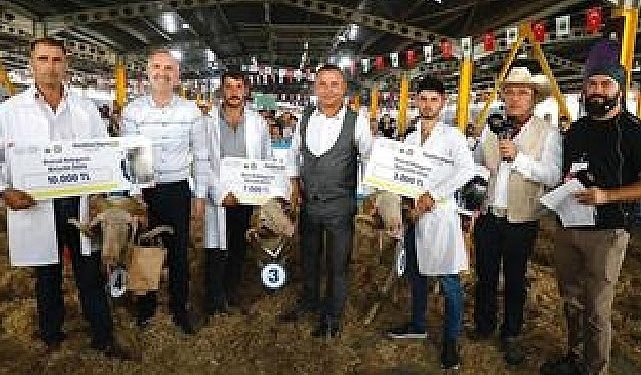 3. Küçükbaş Hayvancılık Şenliği Başlıyor