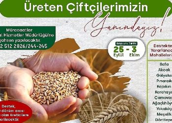 %50 Hibeli Buğday ve Tritikale Tohumu dayanağı başlıyor