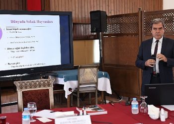 Ankara Buluşmaları’nda “Kent Hayatı ve Hayvan Hakları” konuşuldu