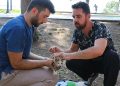 Antalya Büyükşehir can dostlarımızı hastalıklara karşı koruyor