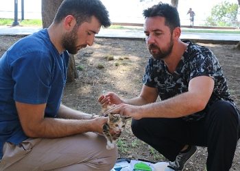 Antalya Büyükşehir can dostlarımızı hastalıklara karşı koruyor